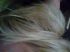 attached-photo