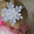 attached-photo
