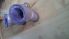 attached-photo
