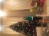 attached-photo