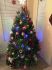 attached-photo