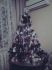 attached-photo