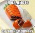 attached-photo