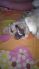 attached-photo