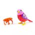 attached-photo