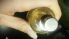 attached-photo