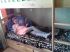 attached-photo