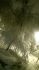 attached-photo