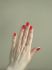 attached-photo