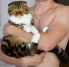 attached-photo