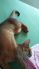 attached-photo