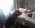 attached-photo