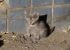 attached-photo
