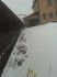 attached-photo