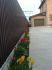attached-photo