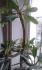 attached-photo