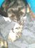 attached-photo