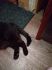 attached-photo