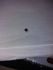 attached-photo